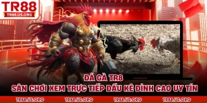Đá gà TR88