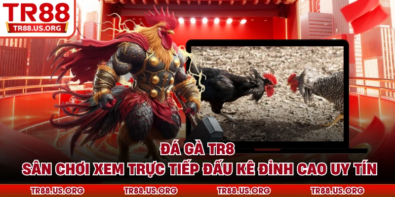 Đá gà TR88