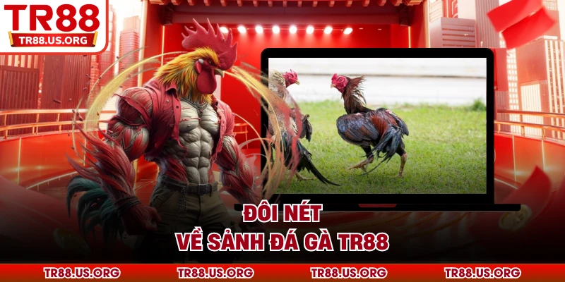 Đôi nét về sảnh đá gà TR88