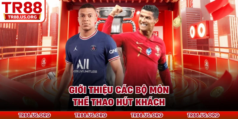 Giới thiệu các bộ môn thể thao hút khách