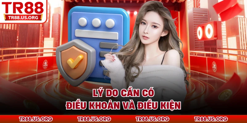 Lý do cần có điều khoản và điều kiện